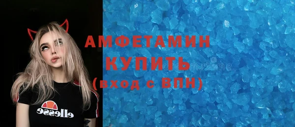 хмурый Верея
