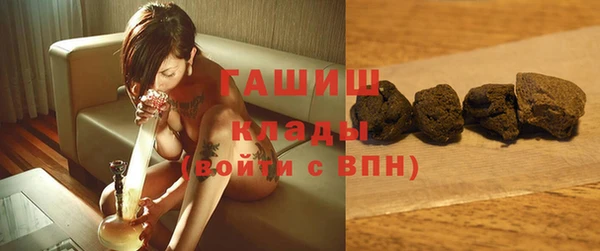 молекула духа Богородицк