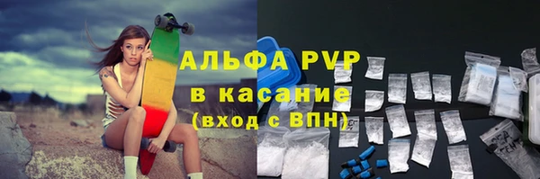 молекула духа Богородицк