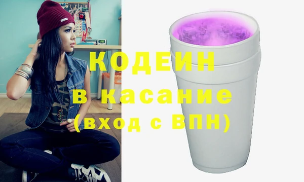 хмурый Верея