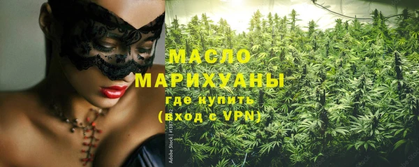 молекула духа Богородицк