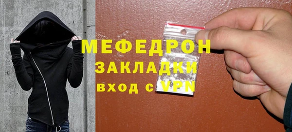 молекула духа Богородицк